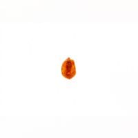 MaisChilli